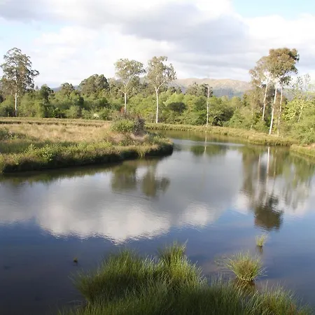 Quinta De Santa Maria Ponte de Lima