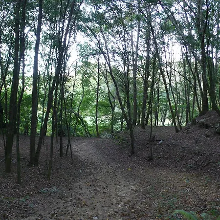 Quinta De Santa Maria Ponte de Lima